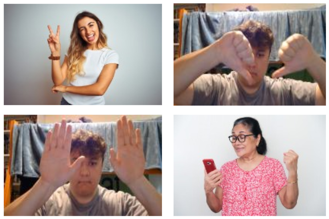 Sample Images