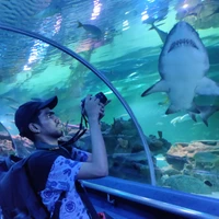 Tarun Jain's profile picture