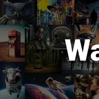 WARP's profile picture