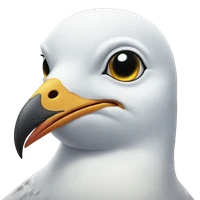 Zhenyan Zhang's profile picture